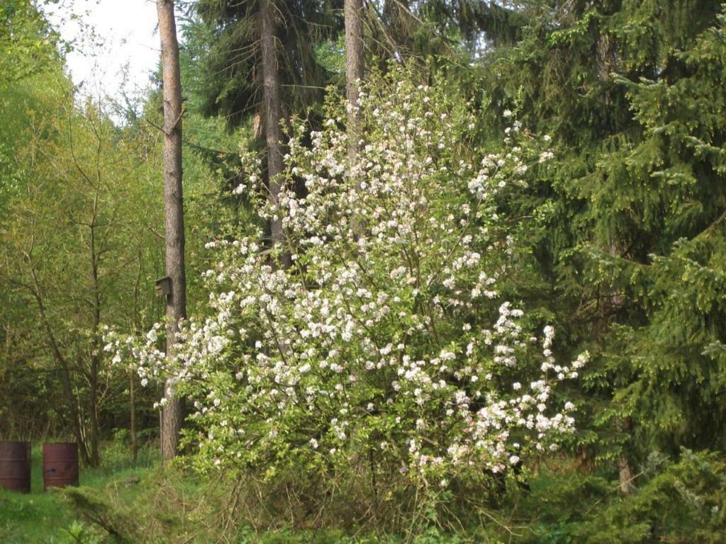 Ferienhaus Huus Ton Witten Barg 安德罗 外观 照片